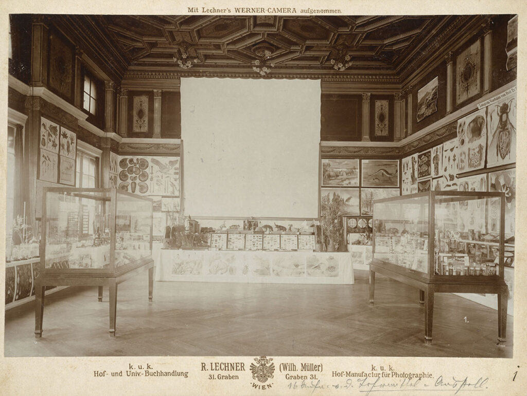 Ehemaliger Vortragsaal des MAK, in dem der Erste Kunstwissenschaftliche Congress stattfand, um 1900, Fotografie von Rudolf Lechner