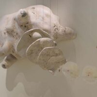 ENTANGLED RELATIONS—ANIMATED BODIES: Sonja Bäumel on the Austrian Pavilion at the 23rd Triennale Milano